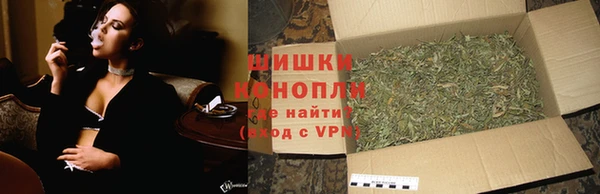 шишки Лагань