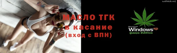 гидра Надым