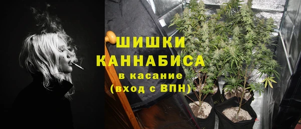 шишки Лагань
