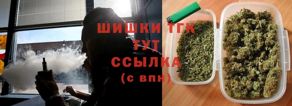 шишки Лагань