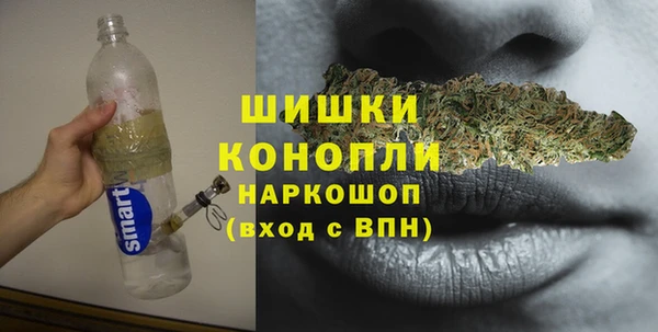 шишки Лагань